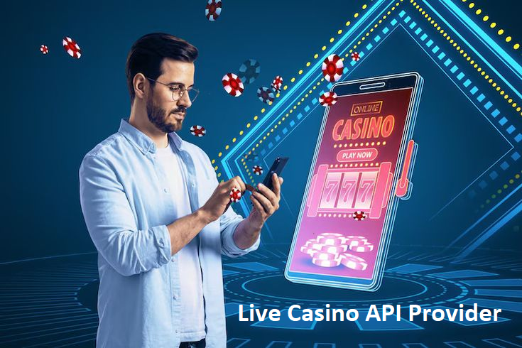 Online Live Casino API Provider