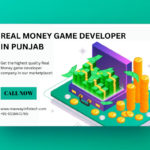 REAL MONEY GAME DEVELOPER IN PUNJAB
