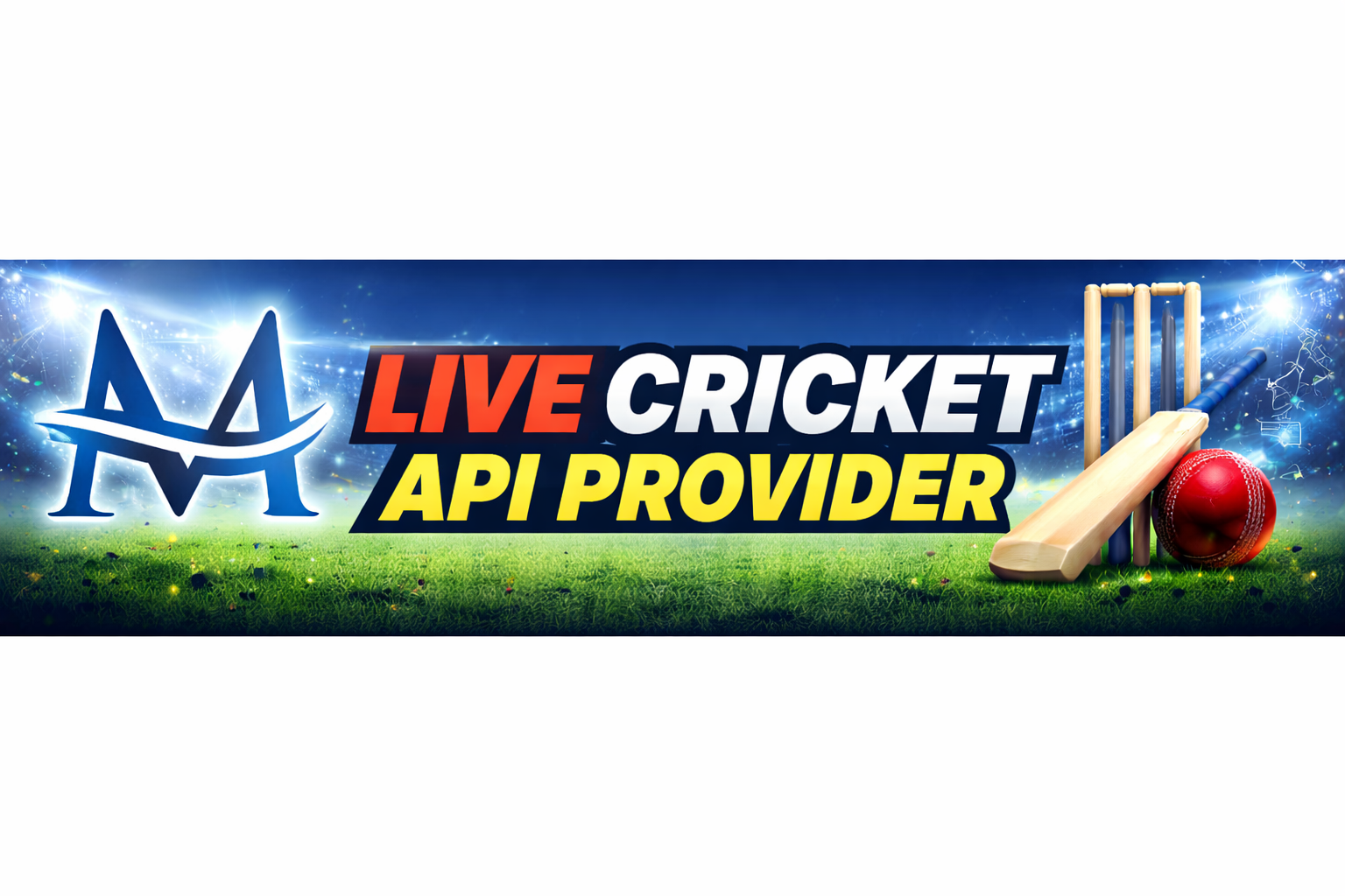 Live Cricket API Provider