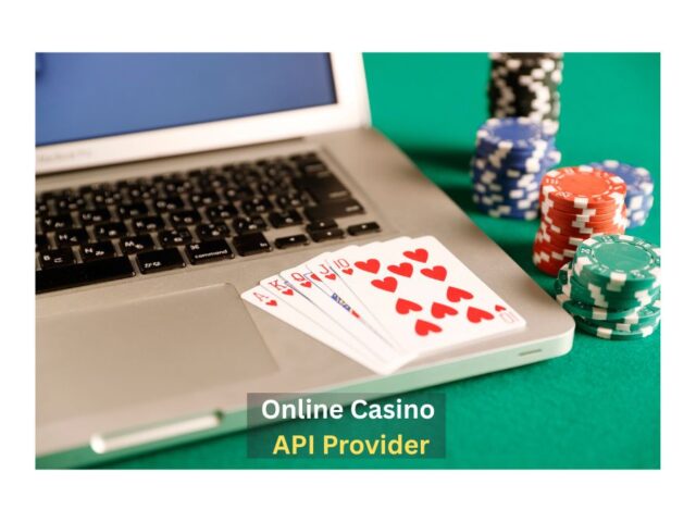 Online Casino API Provider