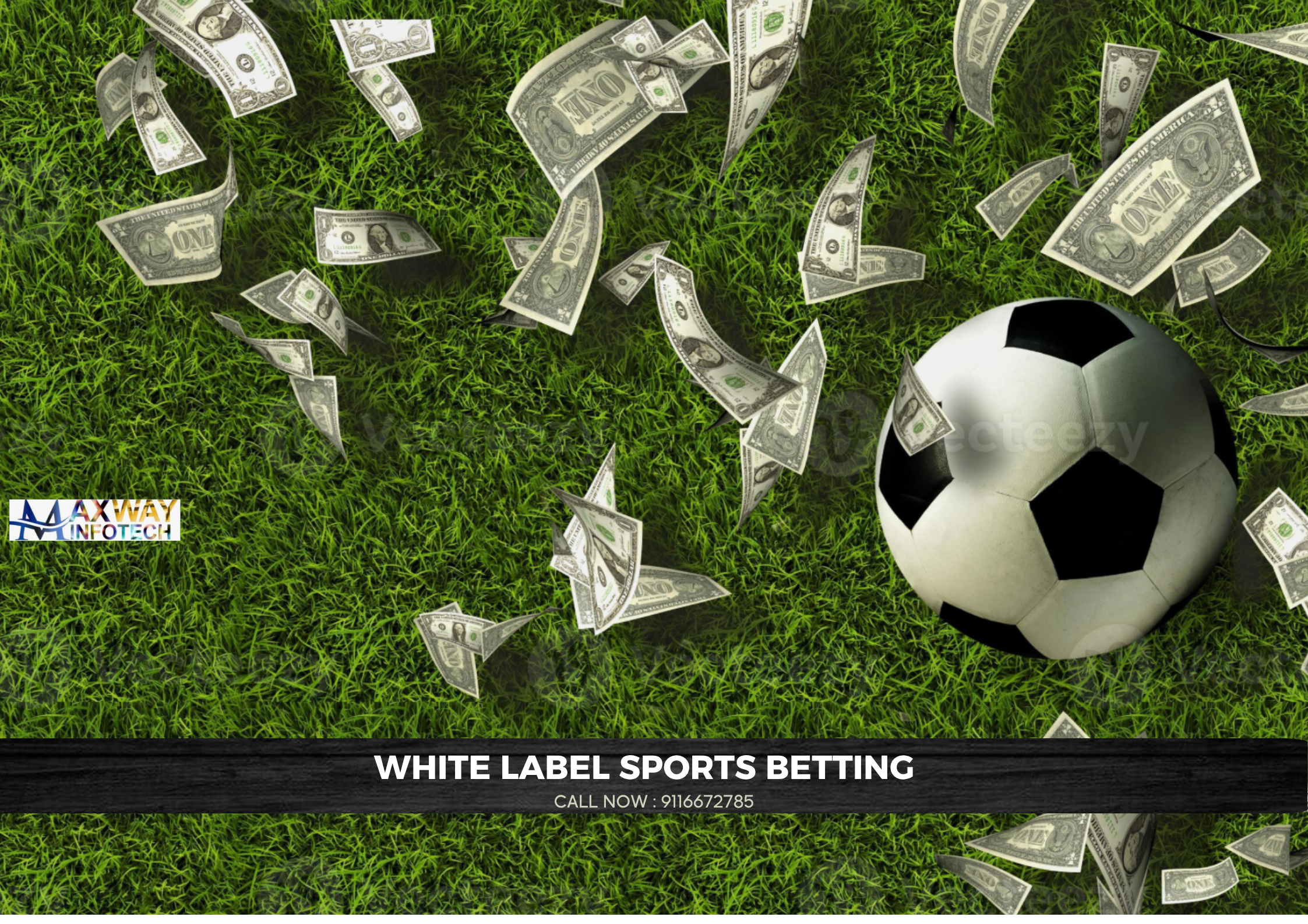white label sports betting